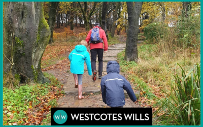 Westcotes Wills: the story so far