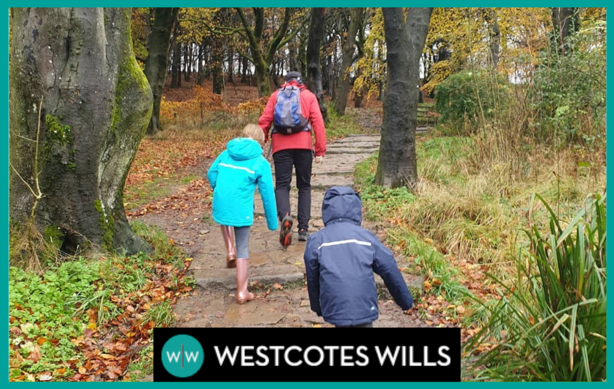 Adobe Express – file Part of the story so far